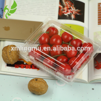 clear PET disposable plastic fresh fruit tray for wholesale