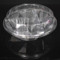 blister plastic tray