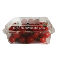 plastic packaging gift box