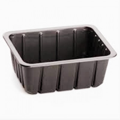 OEM Wholesale Blister Disposable PET Tray for Fruit Plastic Fruit Packaging Tray